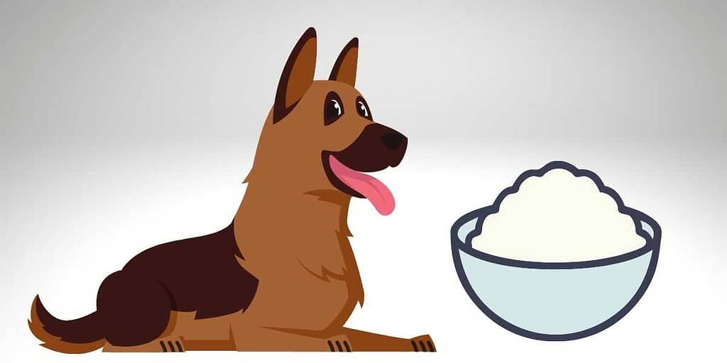 can-a-german-shepherd-eat-rice-complete-information
